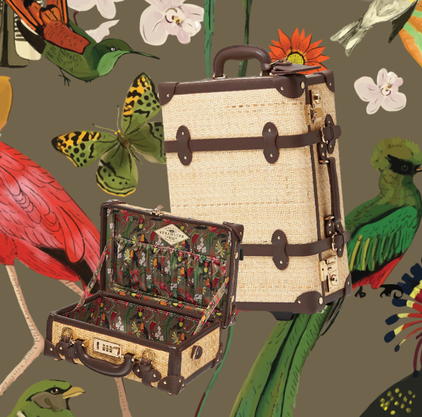 Shop the explorer collection 