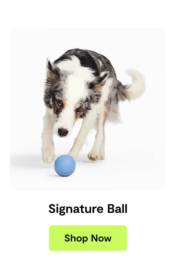 Signature Ball