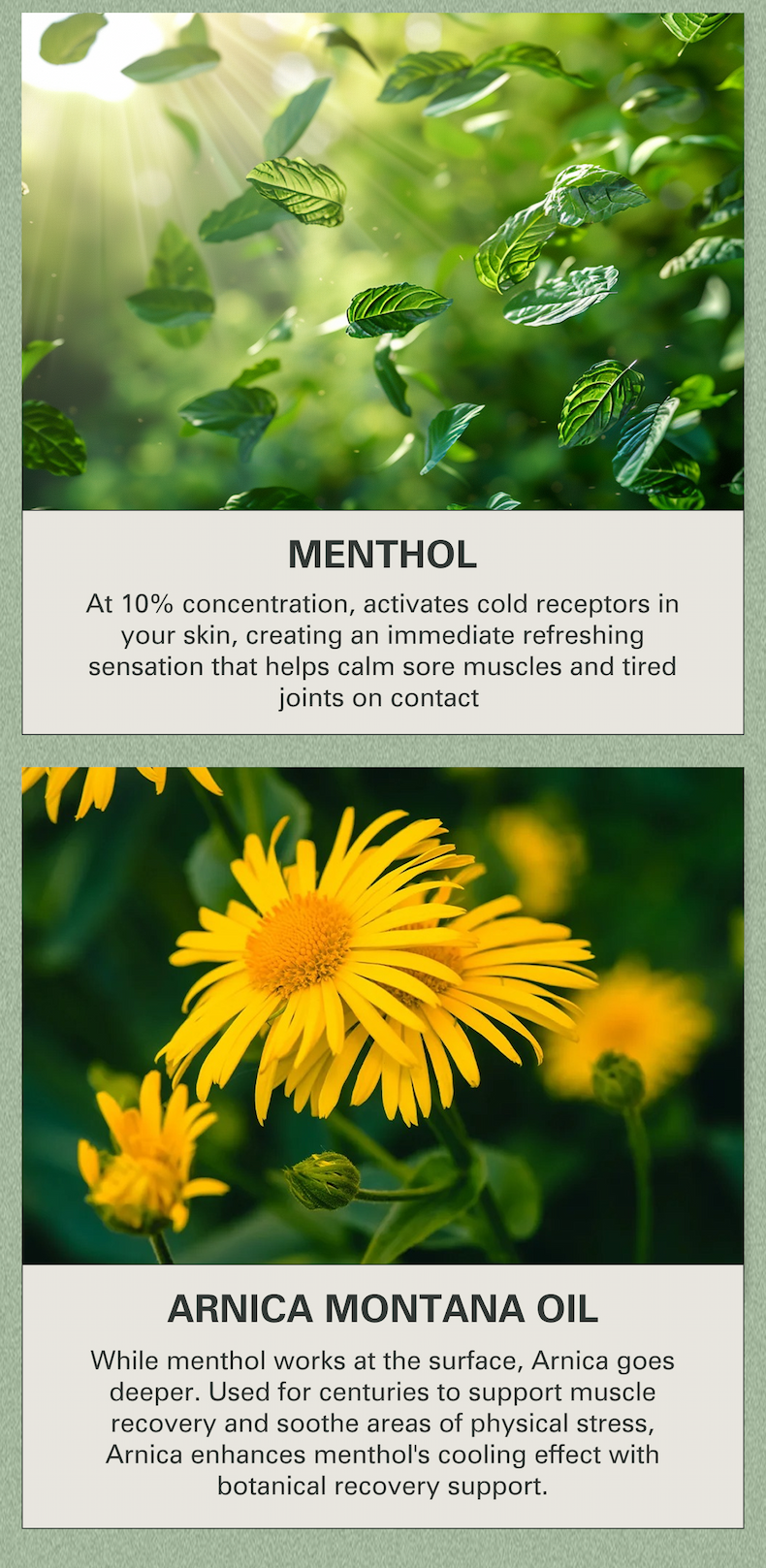 Menthol