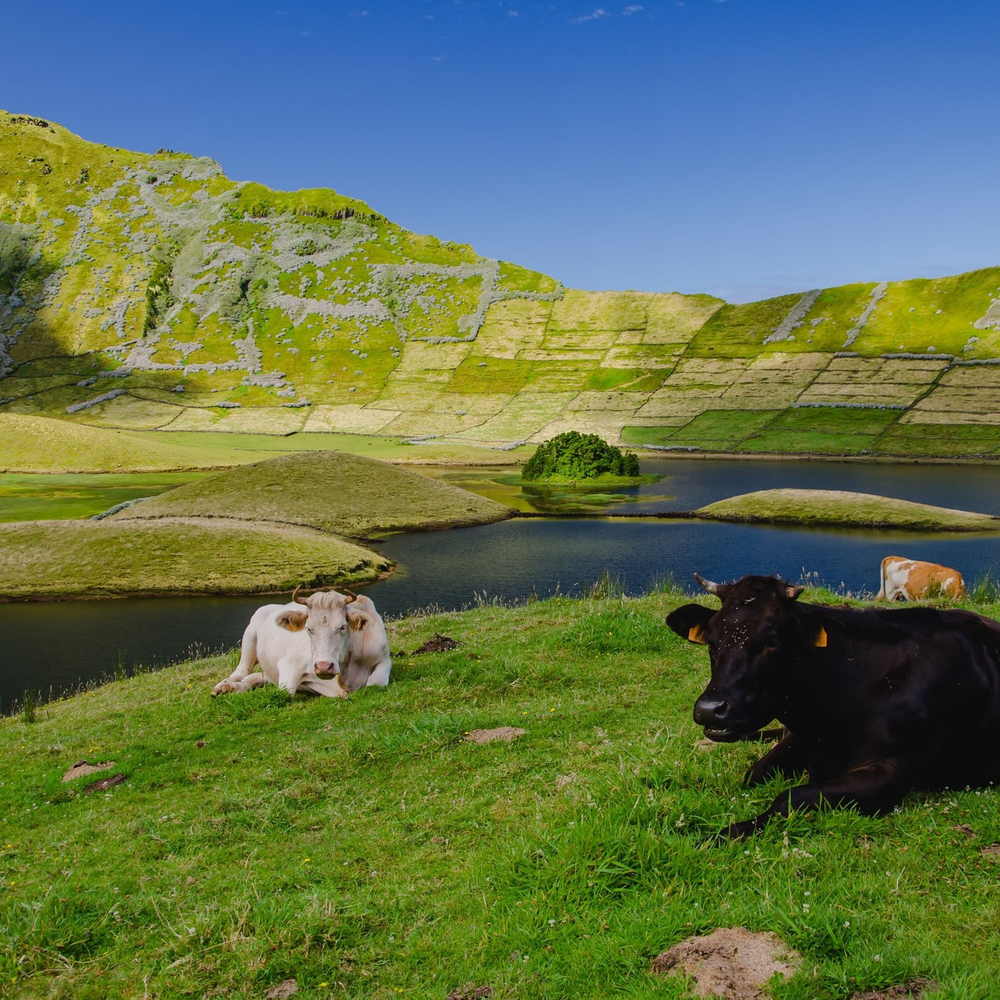 Corvo in the Azores, Portugal
