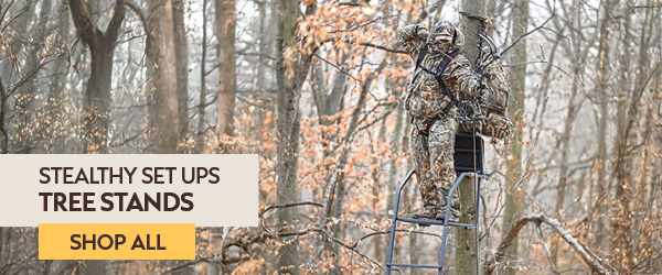 Tree Stands