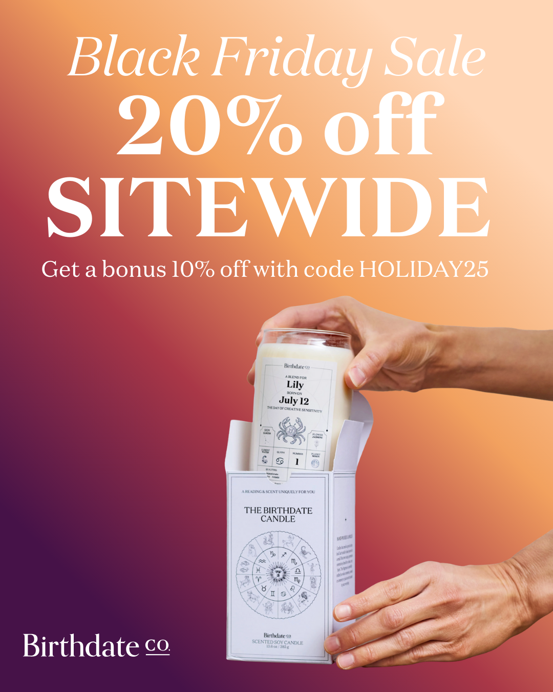 Black Friday Sale