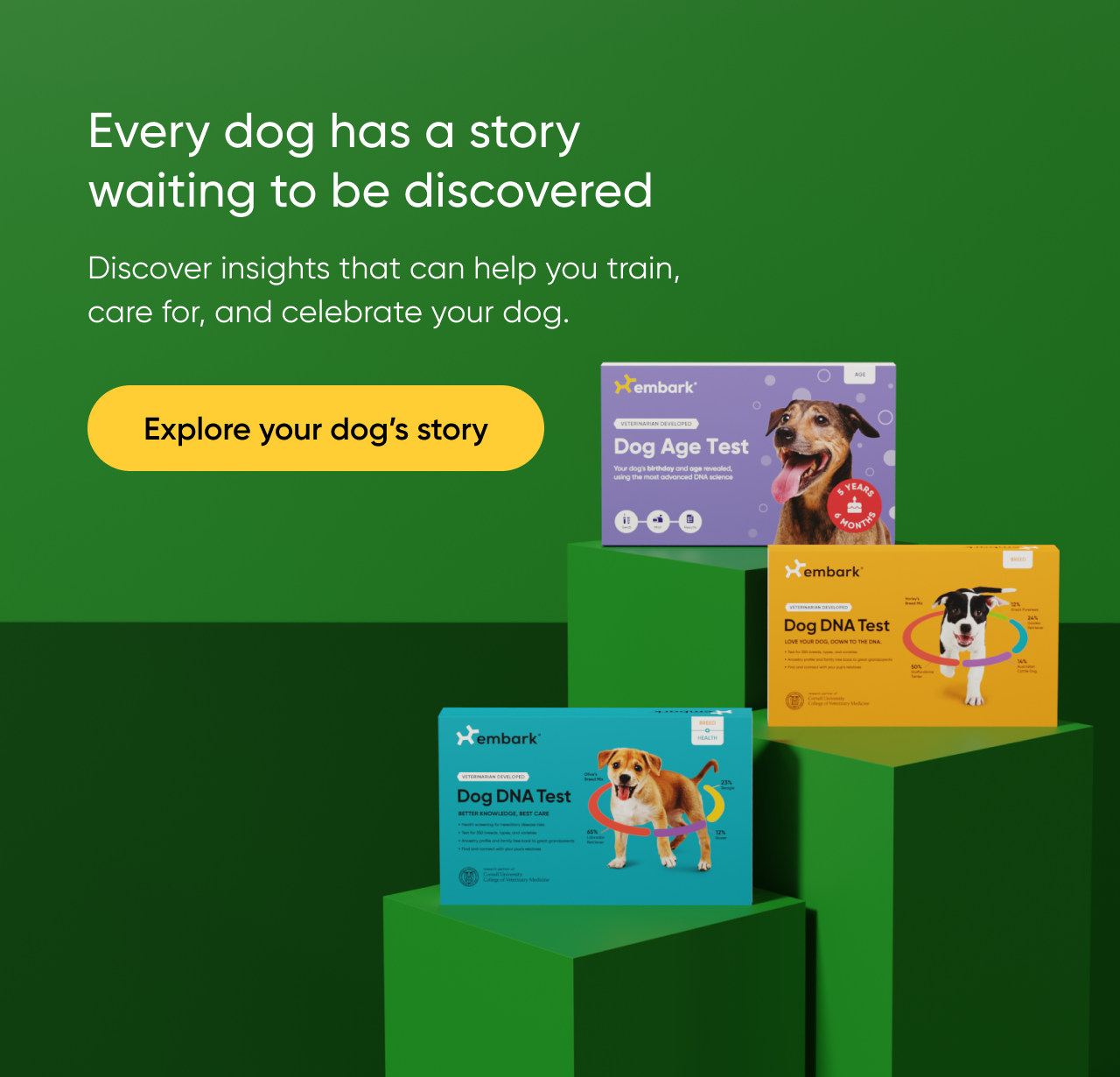 Every dog has a story waiting to be discovered.