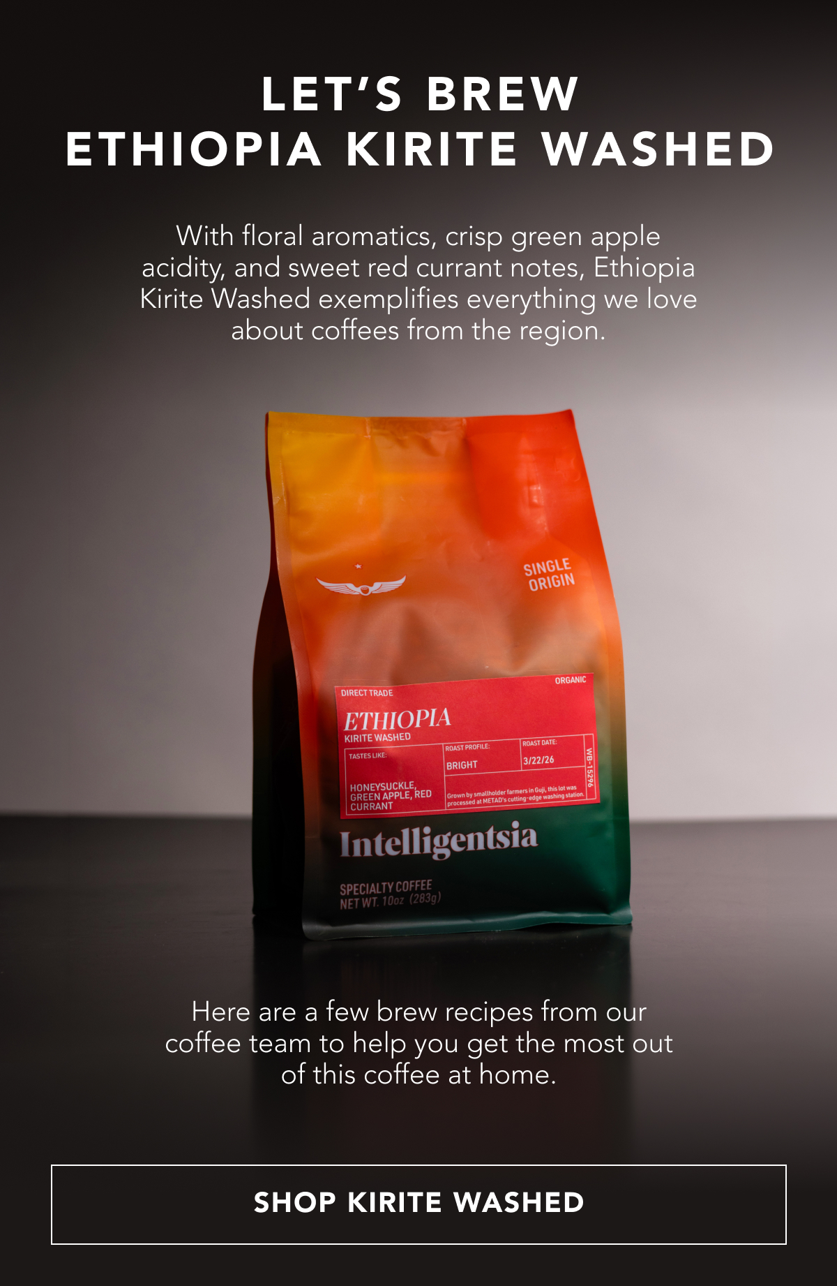 Let’s brew Ethiopia Kirite Washed. With floral aromatics, crisp green apple acidity, and sweet red currant notes, Ethiopia Kirite Washed exemplifies everything we love from a coffee of the region. Here are a few brew recipes from our coffee team to help you get the most out of this coffee at home. | SHOP KIRITE WASHED