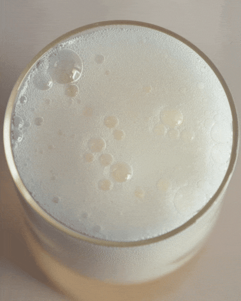 Choose MOMO kombucha to contribute to a diverse microbiome.