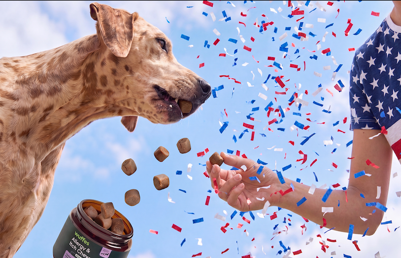 Dog with products