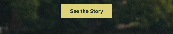 See the Story