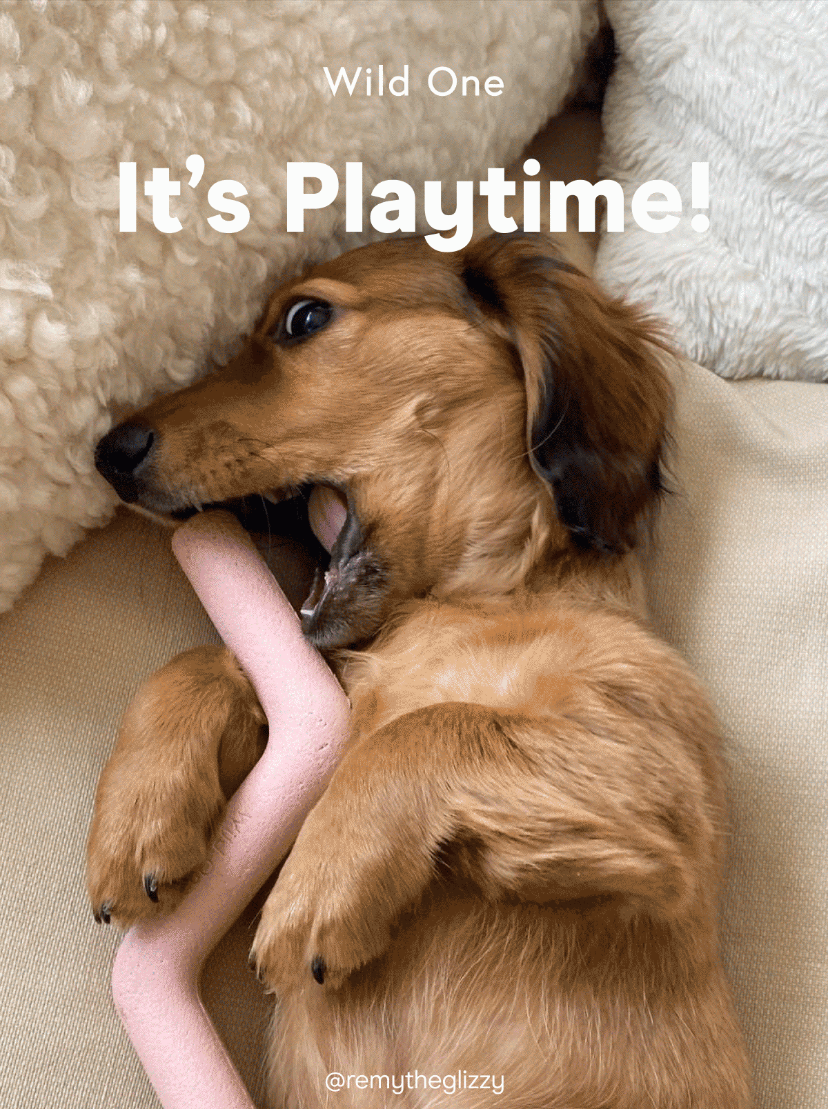It’s Playtime!