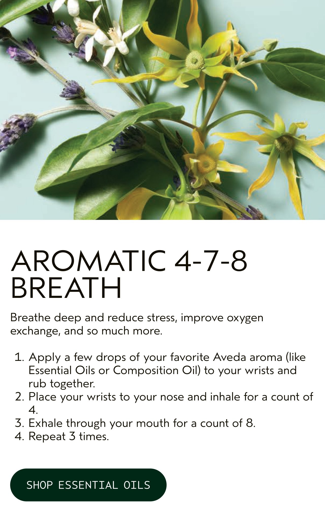 AROMATIC 4-7-8 BREATH Breathe deep and reduce stress, improve oxygen exchange, and so much more. 1. Apply a few drops of your favorite Aveda aroma like Essential Oils or Composition Oil to your wrists and rub together. 2. Place your wrists to your nose and inhale for a count of 4. 3. Exhale through your mouth for a count of 8. 4. Repeat 3 times. SHOP ESSENTIAL OILS