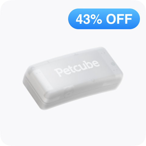 GPS Tracker