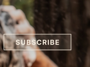 Subscribe