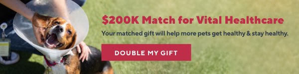 $200K Match - Double My Gift