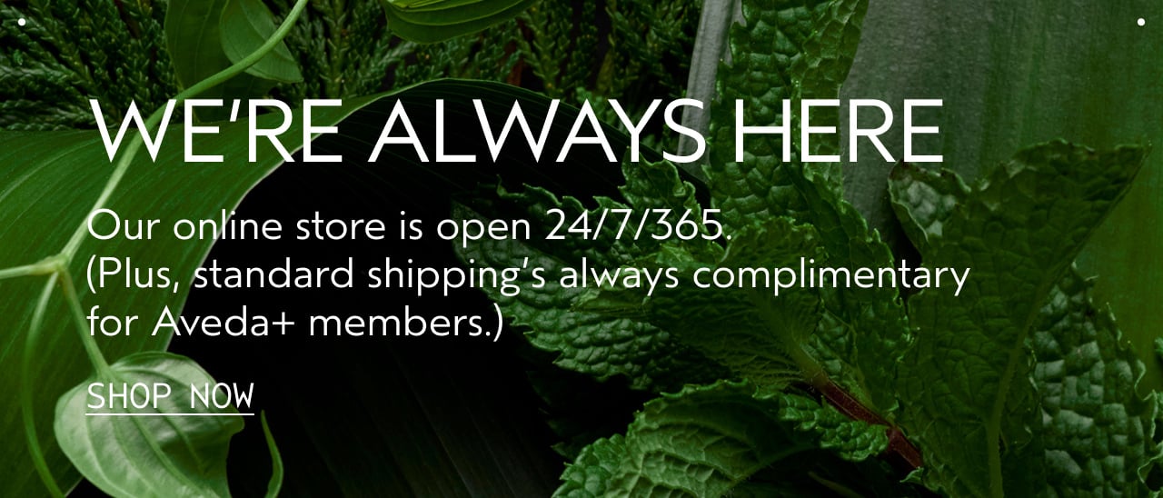 WE'RE ALWAYS HERE | Our online store is open 24/7/365. Plus, standard shipping's always complimentary for Aveda+ members. | SHOP NOW