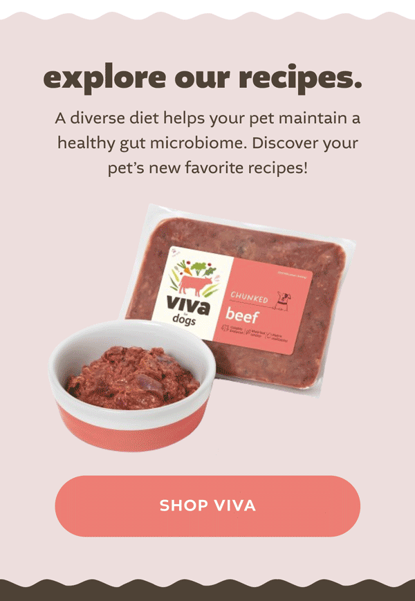 [SHOP VIVA]
