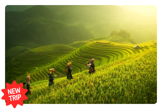 Hike through the green heart of Vietnam