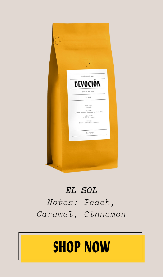 EL SOL - SHOP NOW