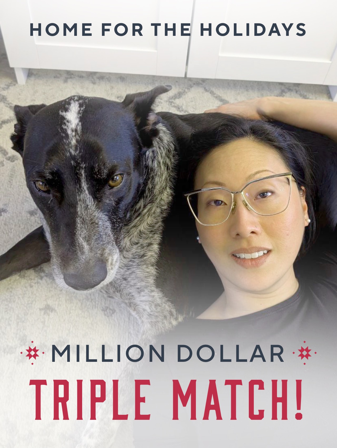 Caption: Home for the Holidays Million Dollar Triple Match. Image of Bobba Fetch and Bobba's parent. 