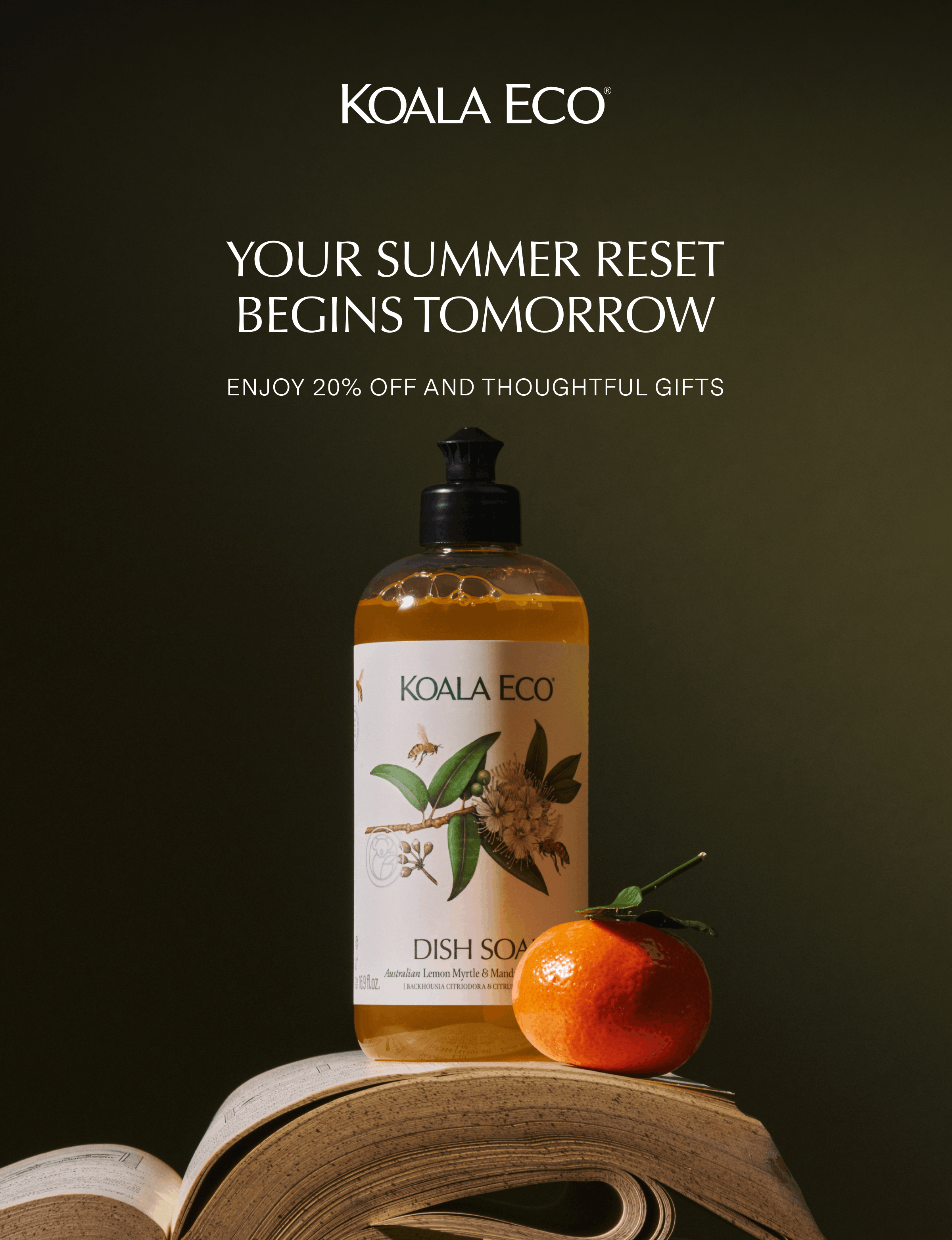 KOALA ECO: Your Summer Reset begins tomorrow