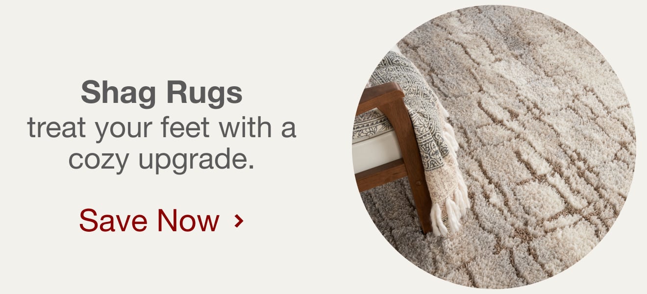Shop Shag Rugs