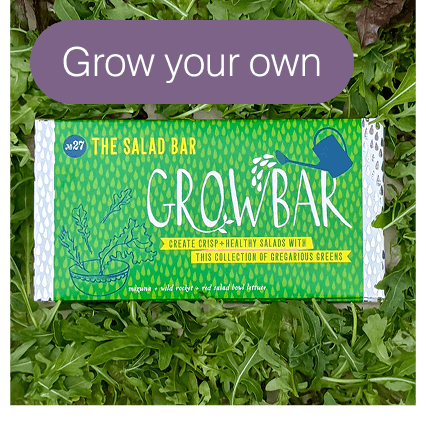 The Salad Seed Bar