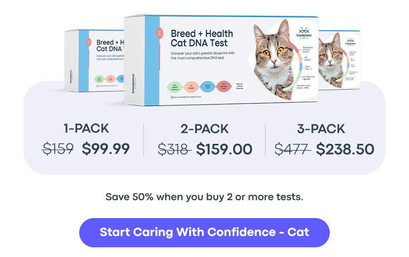 Start Caring With Confidence - Cat