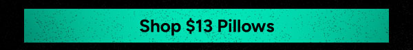Shop $13 Pillows
