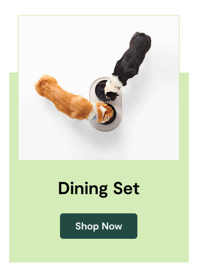Dining Set