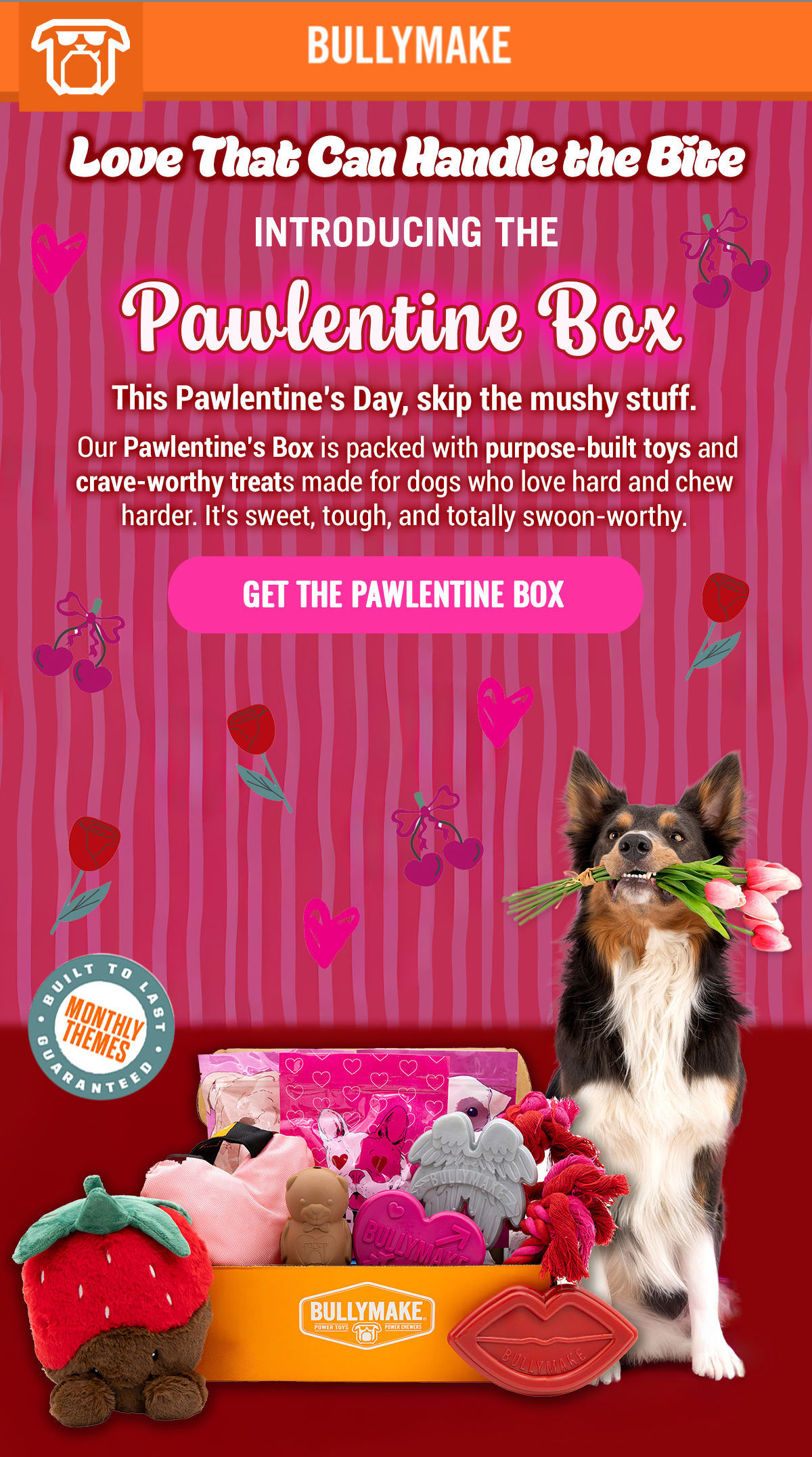 Bullymake Dog Toy Subscription Box
