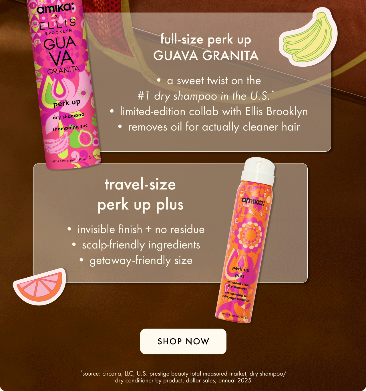 beach day besties dry shampoo duo