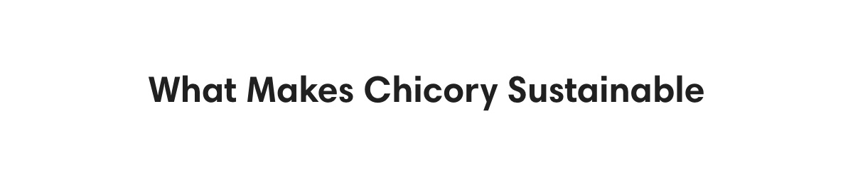 What Makes Chicory Sustainable