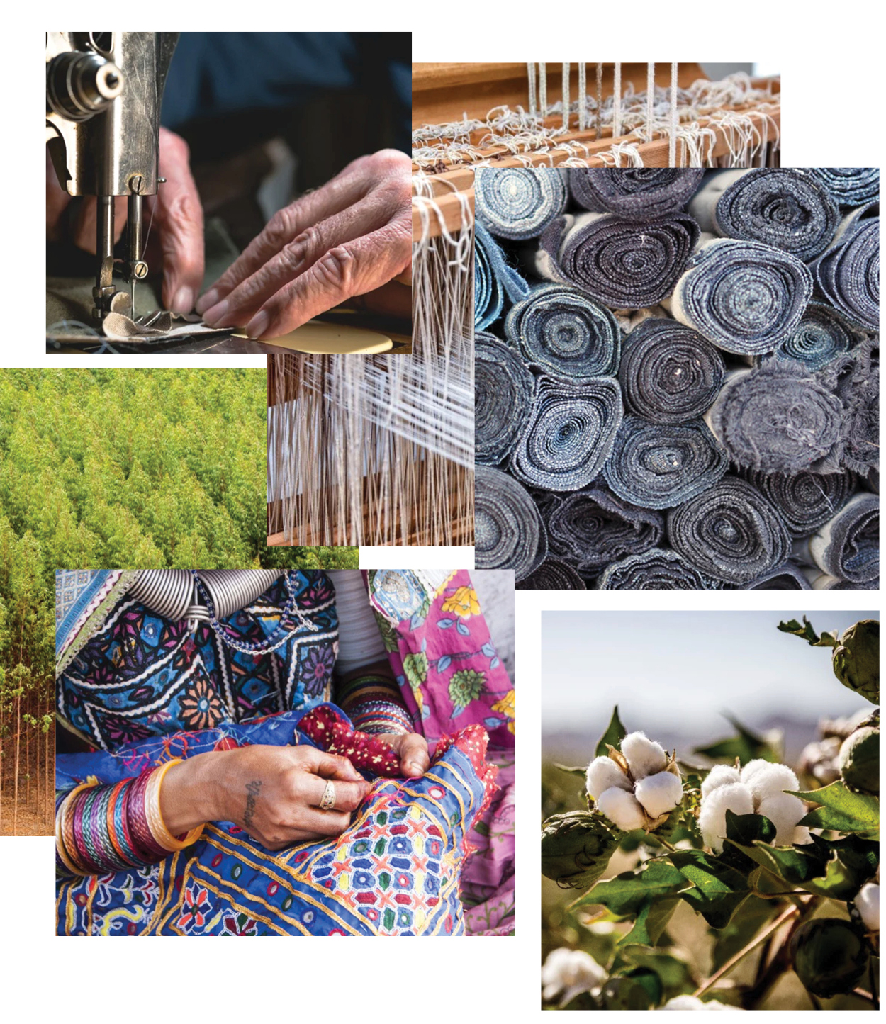 sustainability