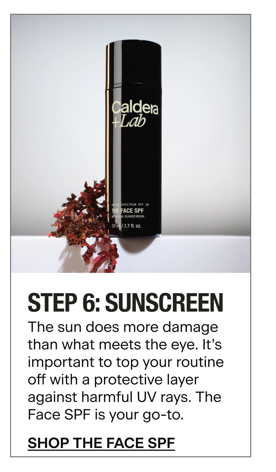 THE FACE SPF
