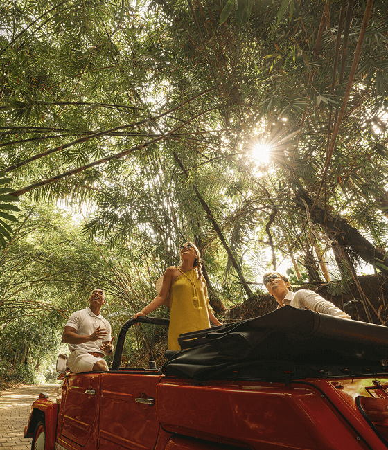 A couple riding through a lush forest in an open-top vehicle beneath tall trees.
