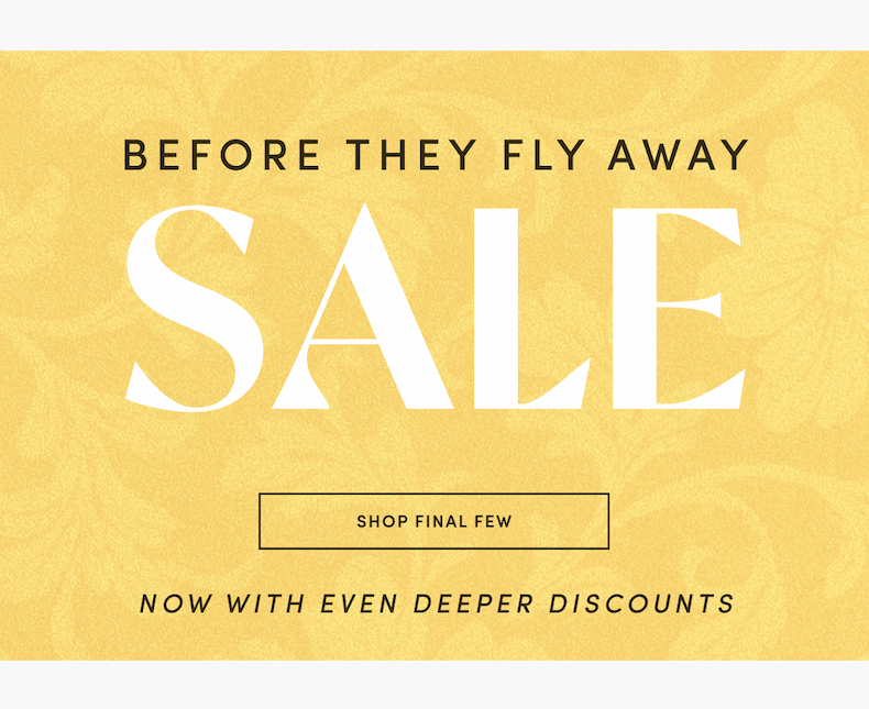 Before they fly away sale 