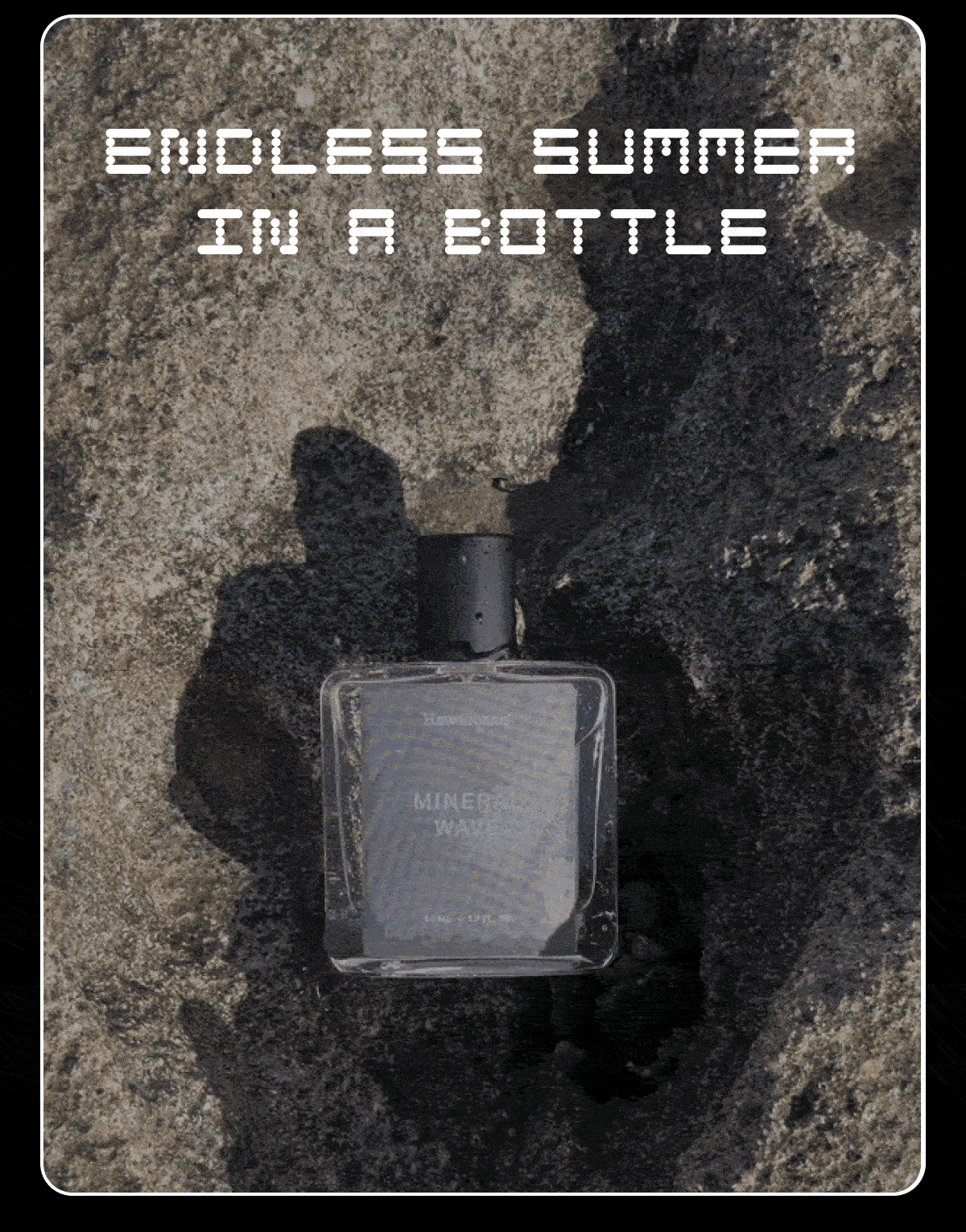 ENDLESS SUMMER IN A BOTTLE