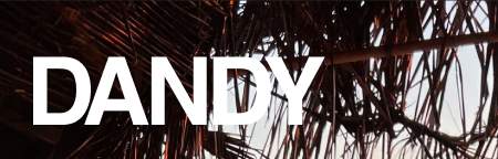 Dandy