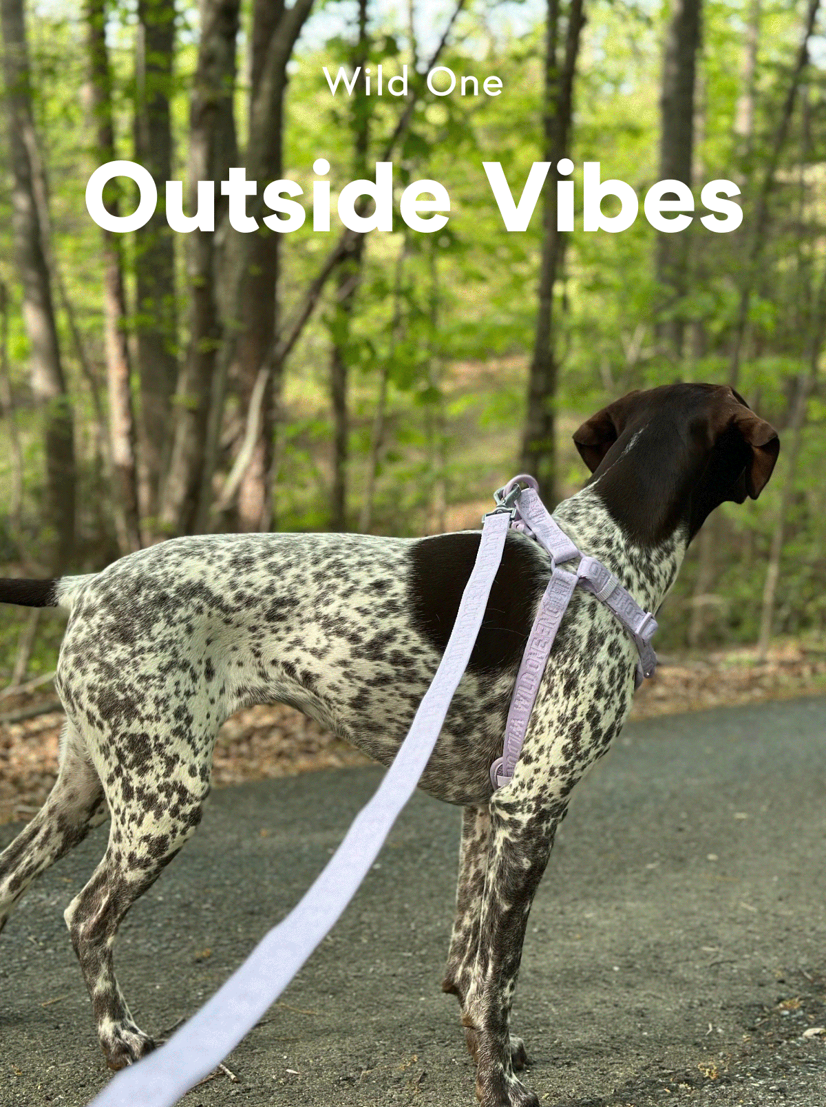 OUTSIDE VIBES