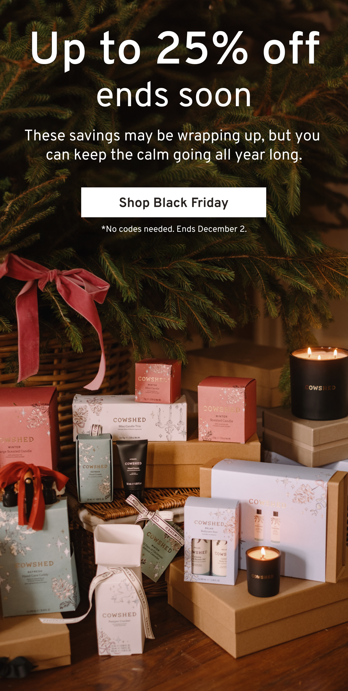 Shop now