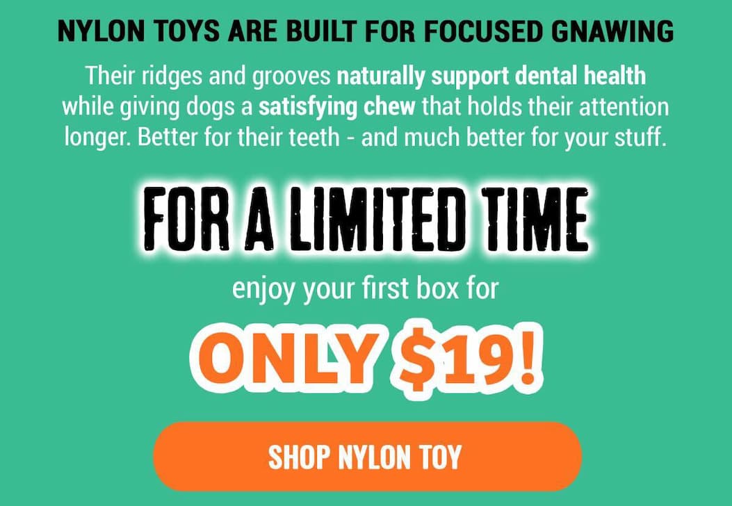Bullymake Dog Toy Subscription Box