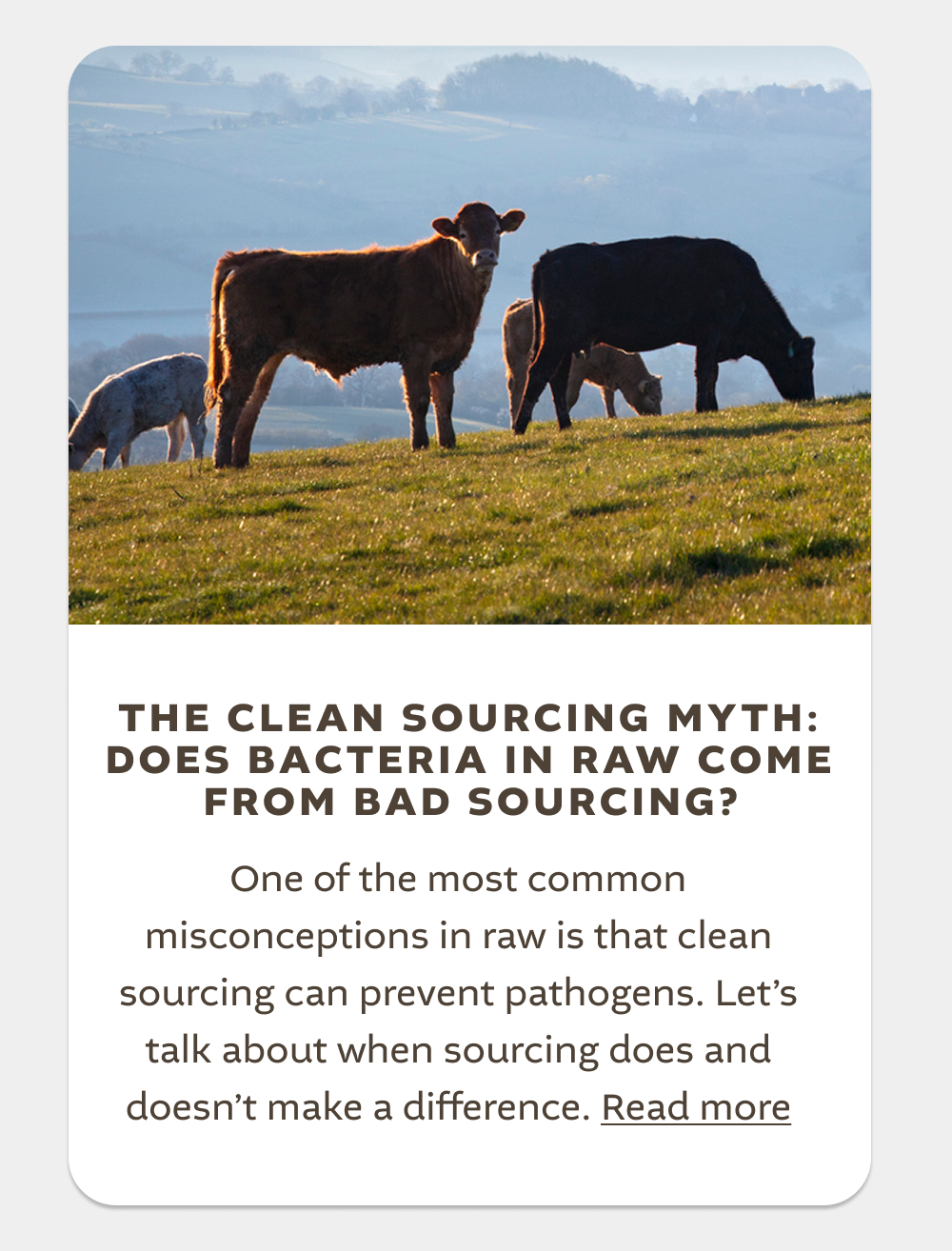 Clean Sourcing Myth