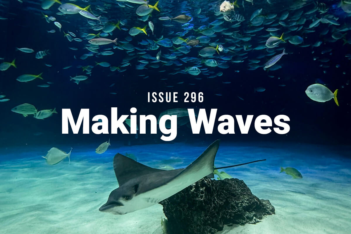 Making Waves Issue 296: a ray swims along the seafloor with fish swimming overhead.