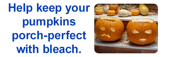 Animated gif time-lapse image of two pumpkins, one decays rapidly and the other stays intact. Text reads: Keep your pumpkins porch-perfect with bleach.