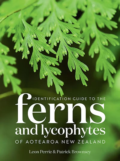 A book cover for Ferns and Lycophytes of Aotearoa New Zealand