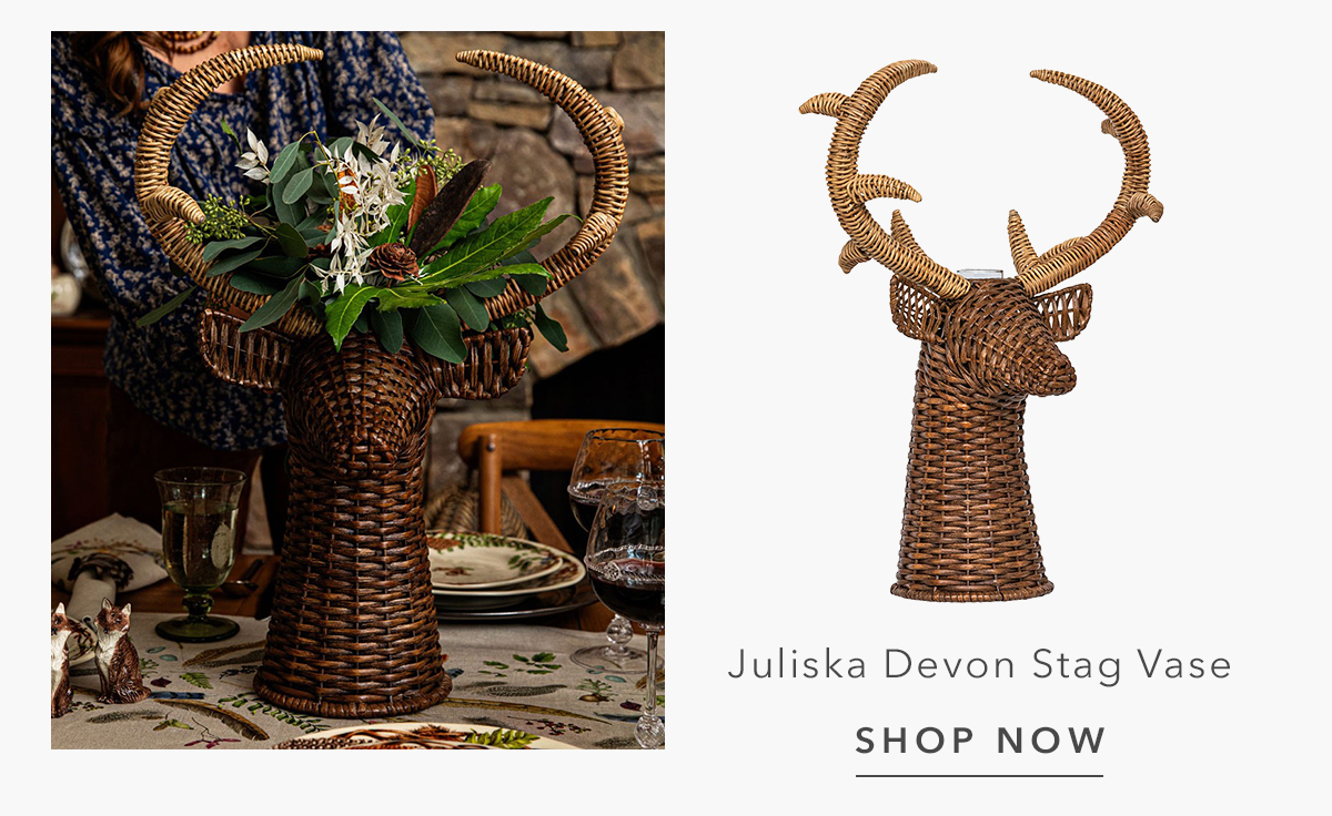 Juliska Devon Willow Traditional Brown Rattan Stag Vase - 22