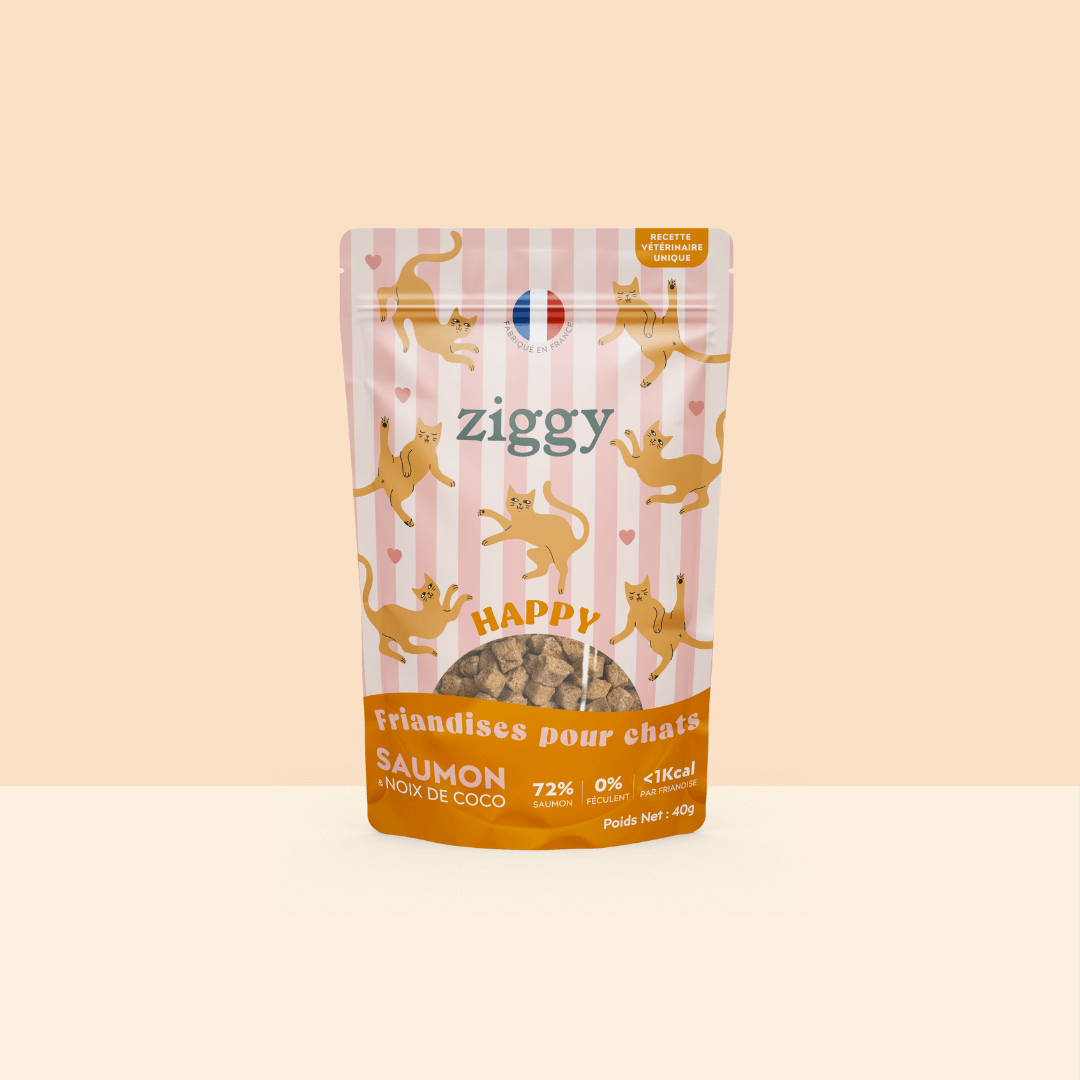 Image of Friandises Chat Happy - Saumon & Coco