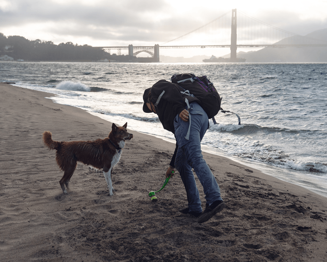 a-dog-persons-guide-to-san-francisco