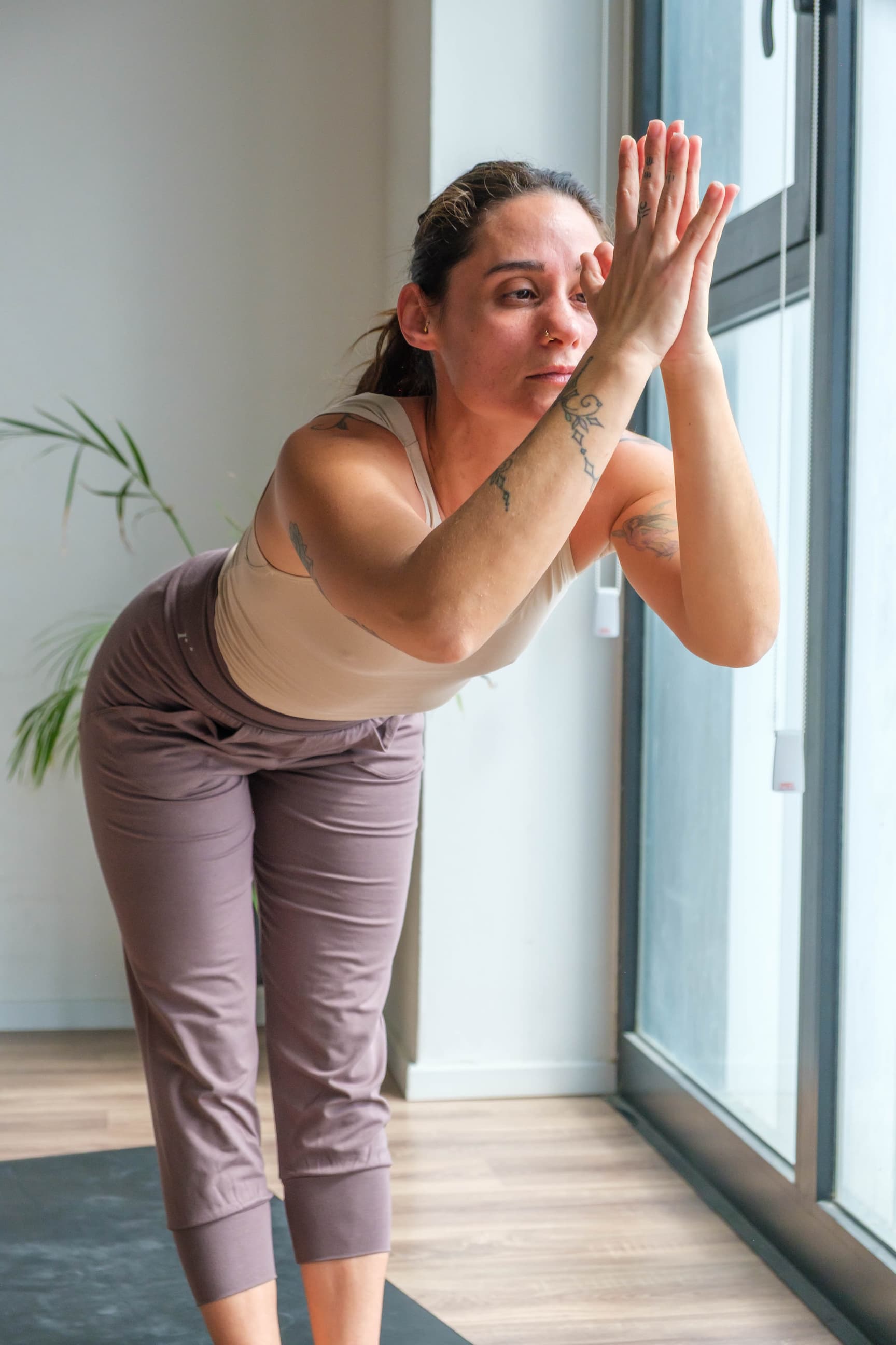 Shop Pecan capri pants