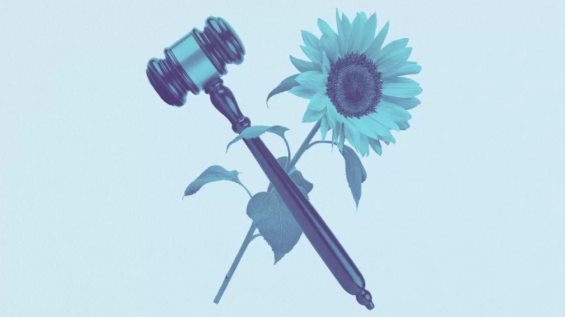 Judge's gavel and a flower forming an X