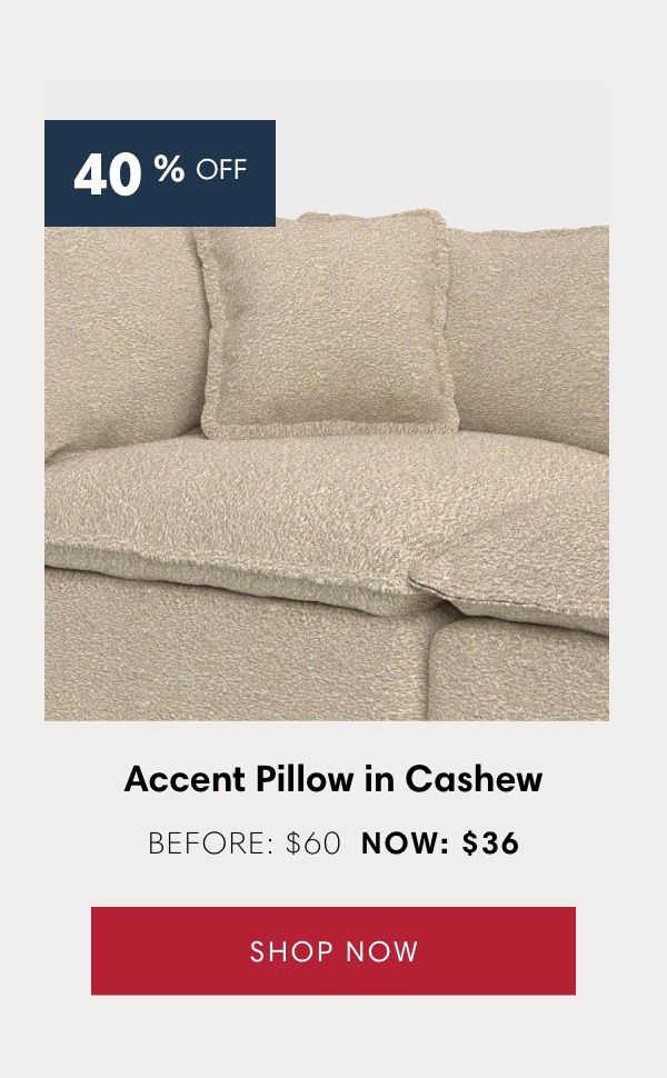 Accent Pillow in Cashew