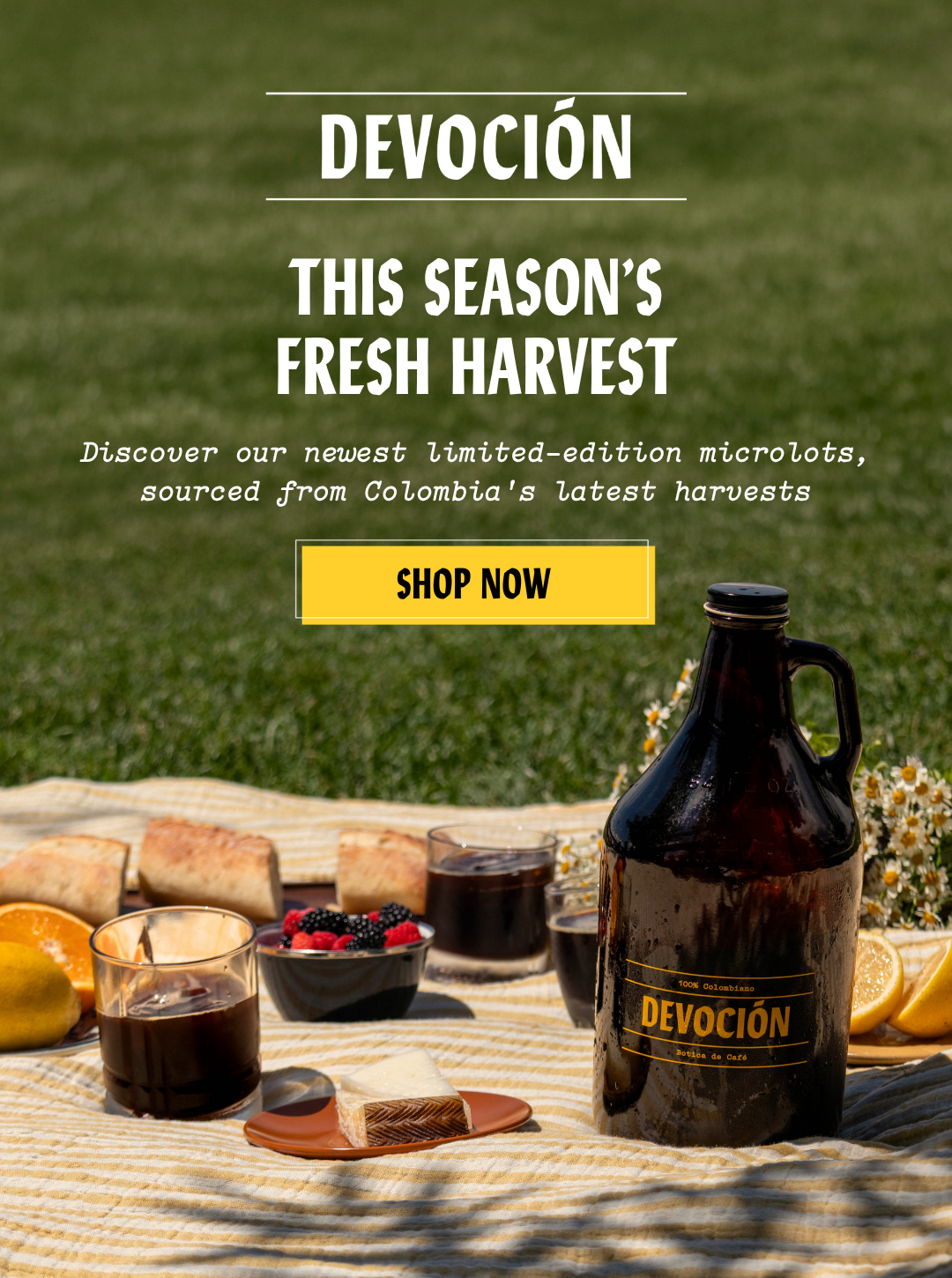 Elevate Your Sumer With Our Seasonal Picks